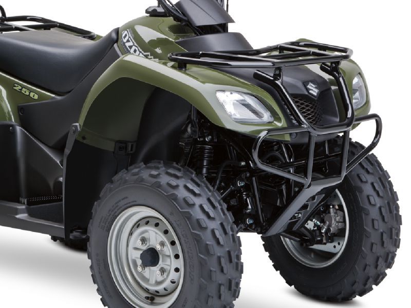 Suzuki ozark 250