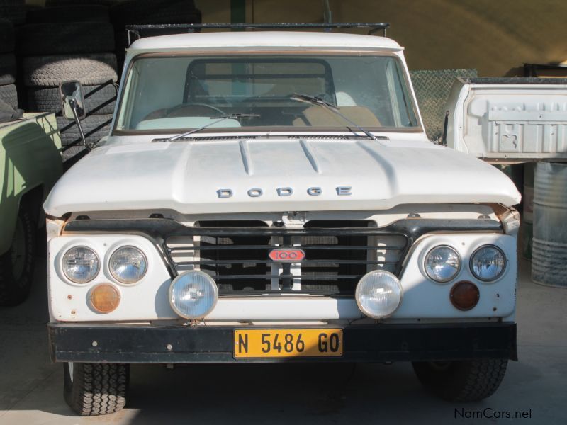 Dodge 1956 in Namibia