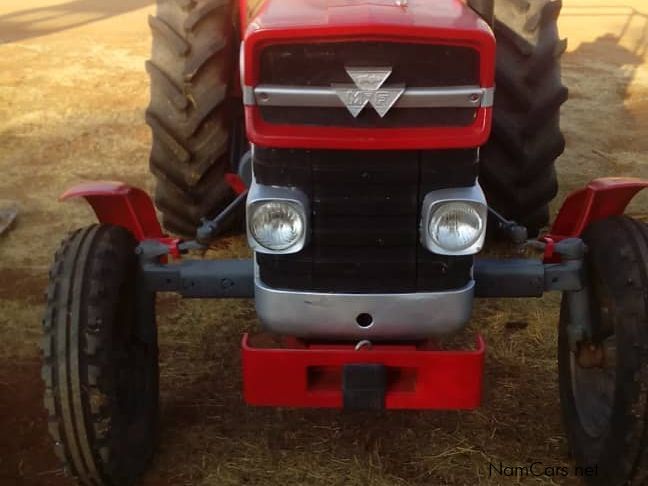 Massey Ferguson MF135 in Namibia