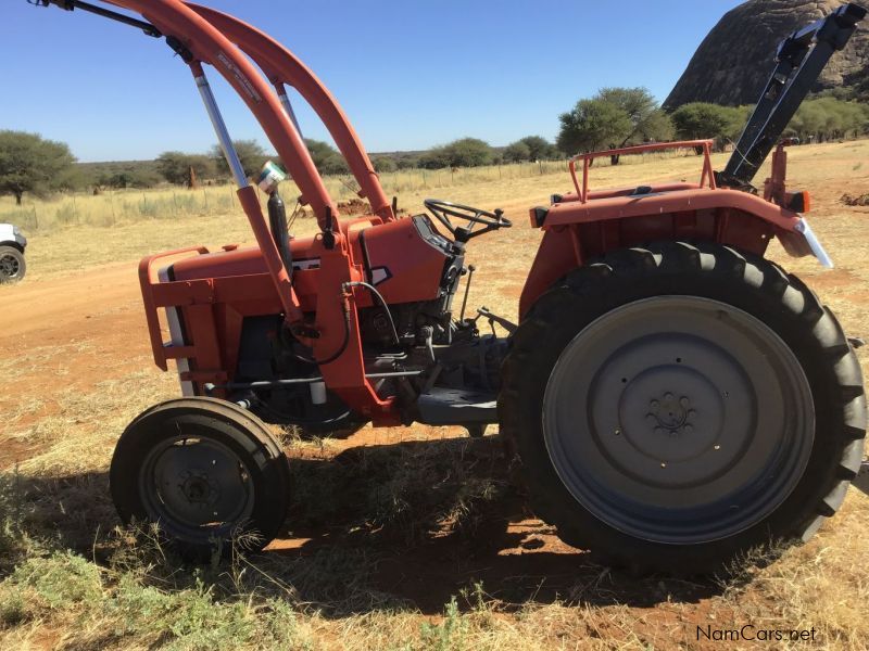 Massey Ferguson MF 245 BAAS in Namibia