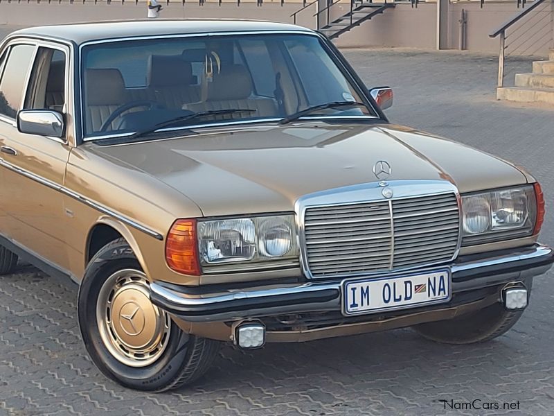 Mercedes-Benz 280E (W123) in Namibia