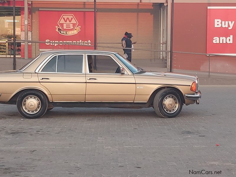 Mercedes-Benz 280E (W123) in Namibia