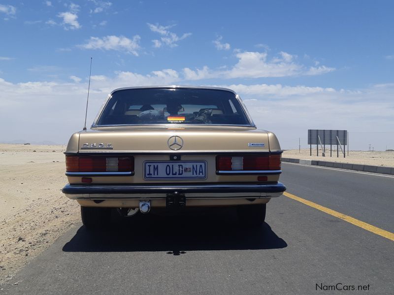 Mercedes-Benz 280E (W123) in Namibia