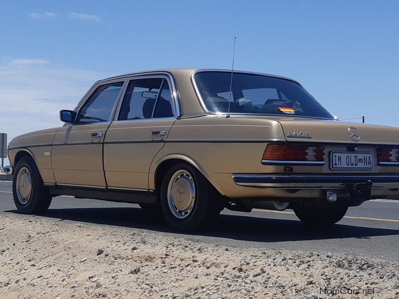 Mercedes-Benz 280E (W123) in Namibia