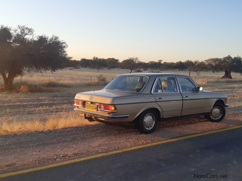 Mercedes-Benz 280E (W123) in Namibia