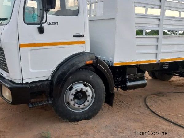 Mercedes-Benz 1213 in Namibia