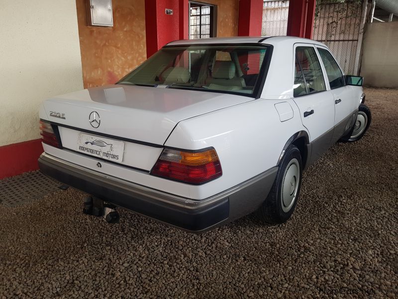 Mercedes-Benz 230 E in Namibia