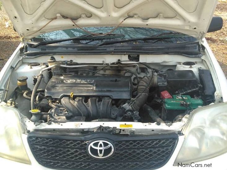 Toyota Corolla in Namibia