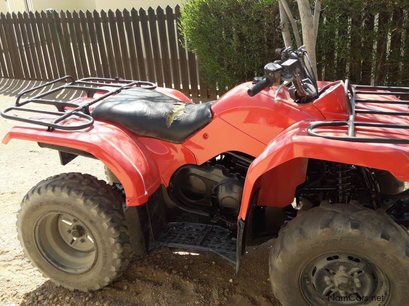 Yamaha Grizzly 350cc in Namibia