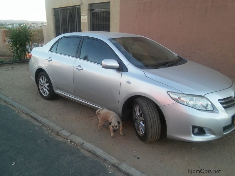 Toyota Corrola in Namibia