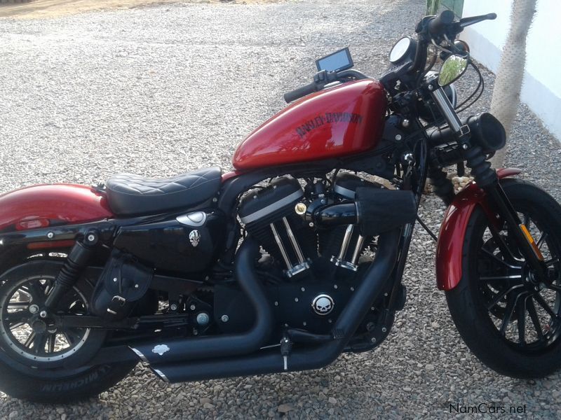 Harley-Davidson XL 883 Iron in Namibia