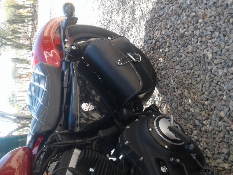 Harley-Davidson XL 883 Iron in Namibia