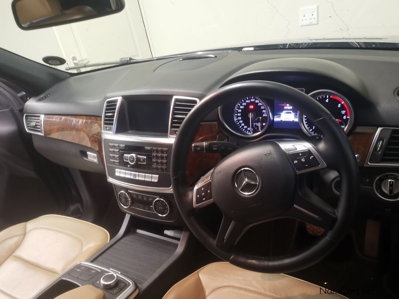 Mercedes-Benz ML 250 BLUETEC in Namibia