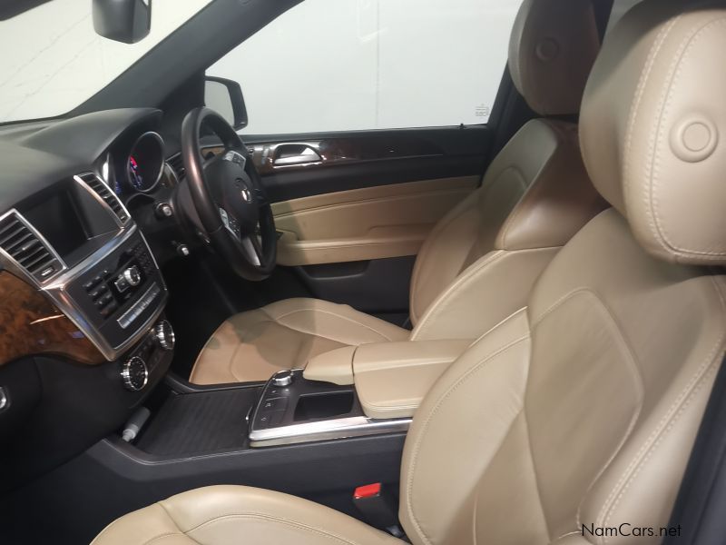 Mercedes-Benz ML 250 BLUETEC in Namibia