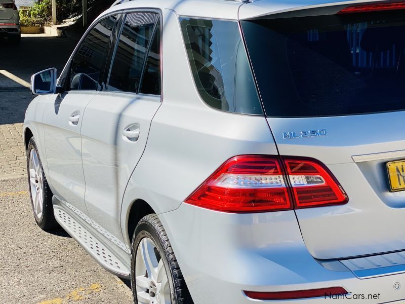 Mercedes-Benz ML250 BlueTec in Namibia