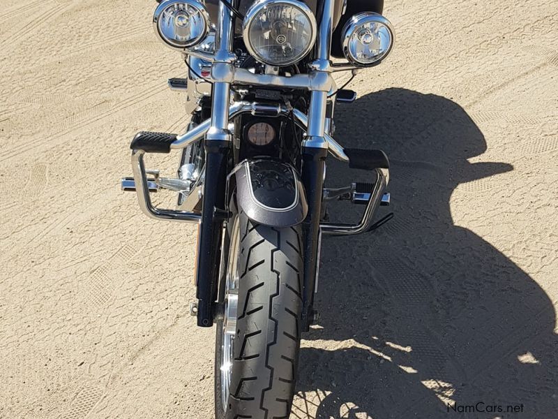 Harley-Davidson 1200 Sportster in Namibia