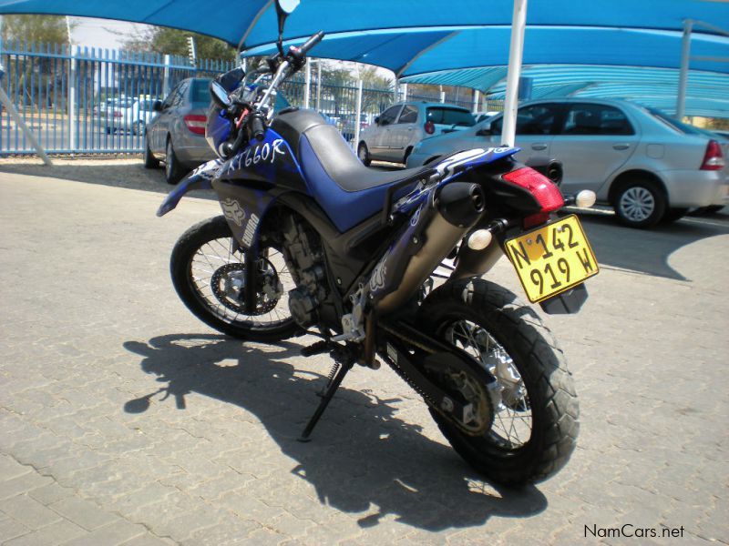 Yamaha XT660R in Namibia
