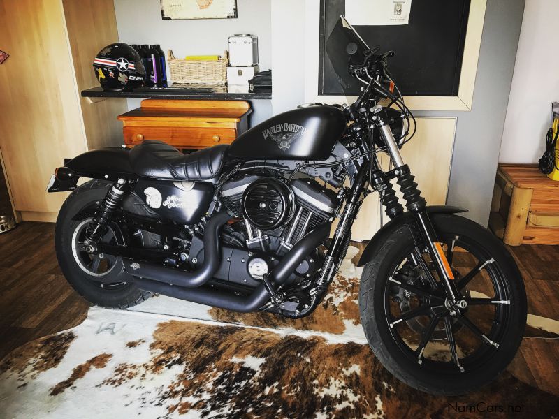 Harley-Davidson Sportster® Iron 883™ in Namibia