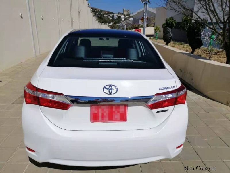 Toyota corolla in Namibia