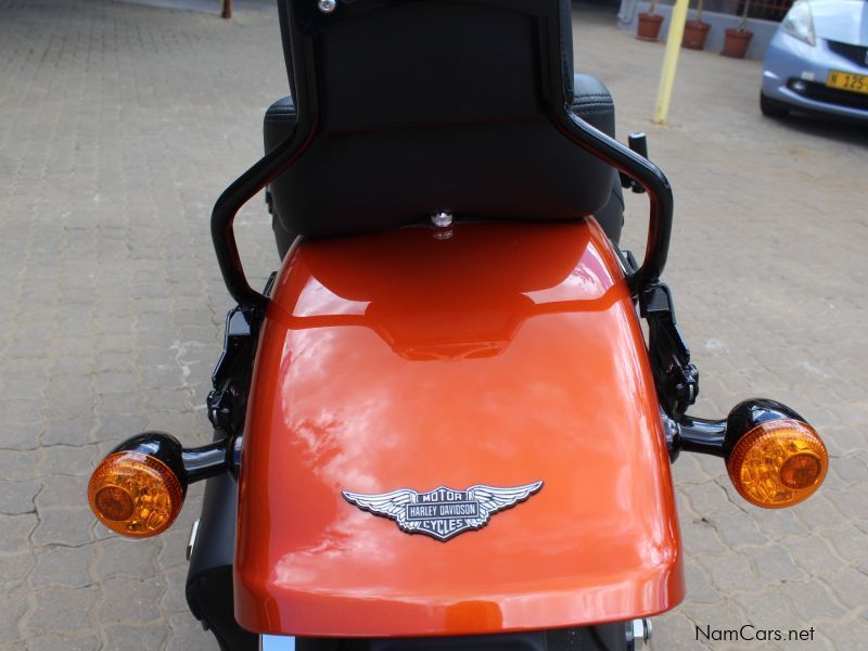 Harley-Davidson Fatboy 114 Custom in Namibia