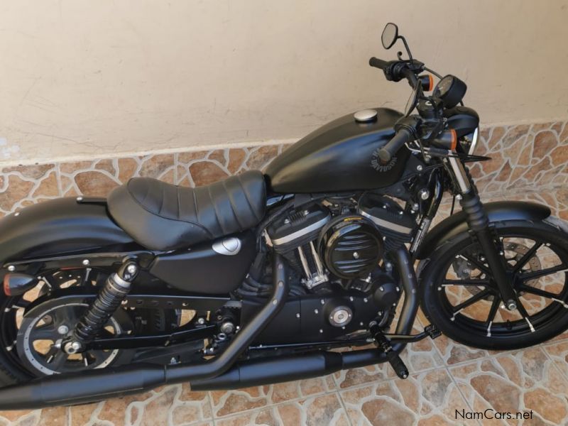 Harley-Davidson XL883 Iron in Namibia