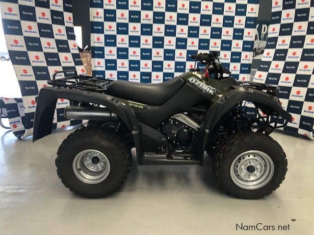 Suzuki SUZUKI OZARK LTF250L8 in Namibia