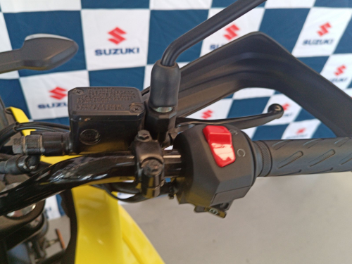 Suzuki V-Strom 250 SX in Namibia