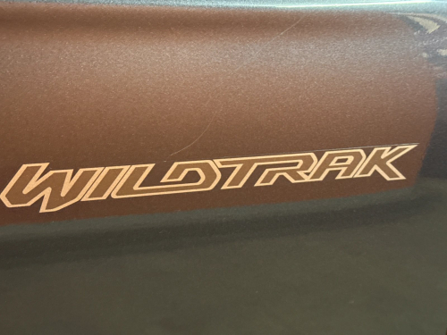 Ford Ranger 2.0d Bi-Turbo Wildtrak 4x4 Auto Pick Up Double Cab in Namibia