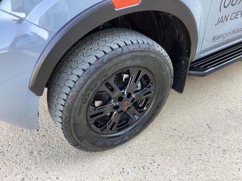 Nissan Navara Pro-4X in Namibia