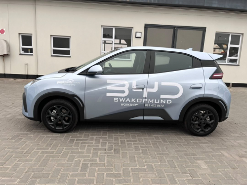 BYD BYD Dolphin Surf Comfort in Namibia