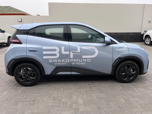 BYD BYD Dolphin Surf Comfort in Namibia