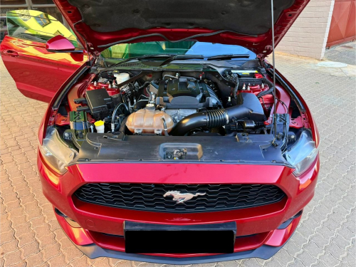 Ford Mustang in Namibia