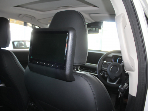 GWM P 300 LTD 2.4T Dcab in Namibia
