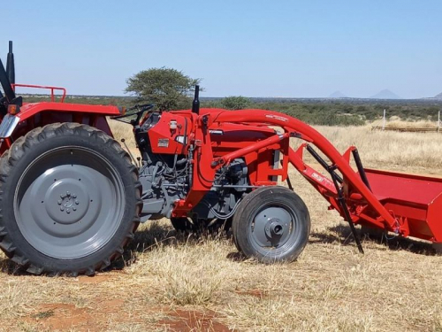 Massey Ferguson MF 245 BAAS in Namibia