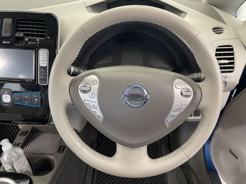 Nissan Leaf in Namibia