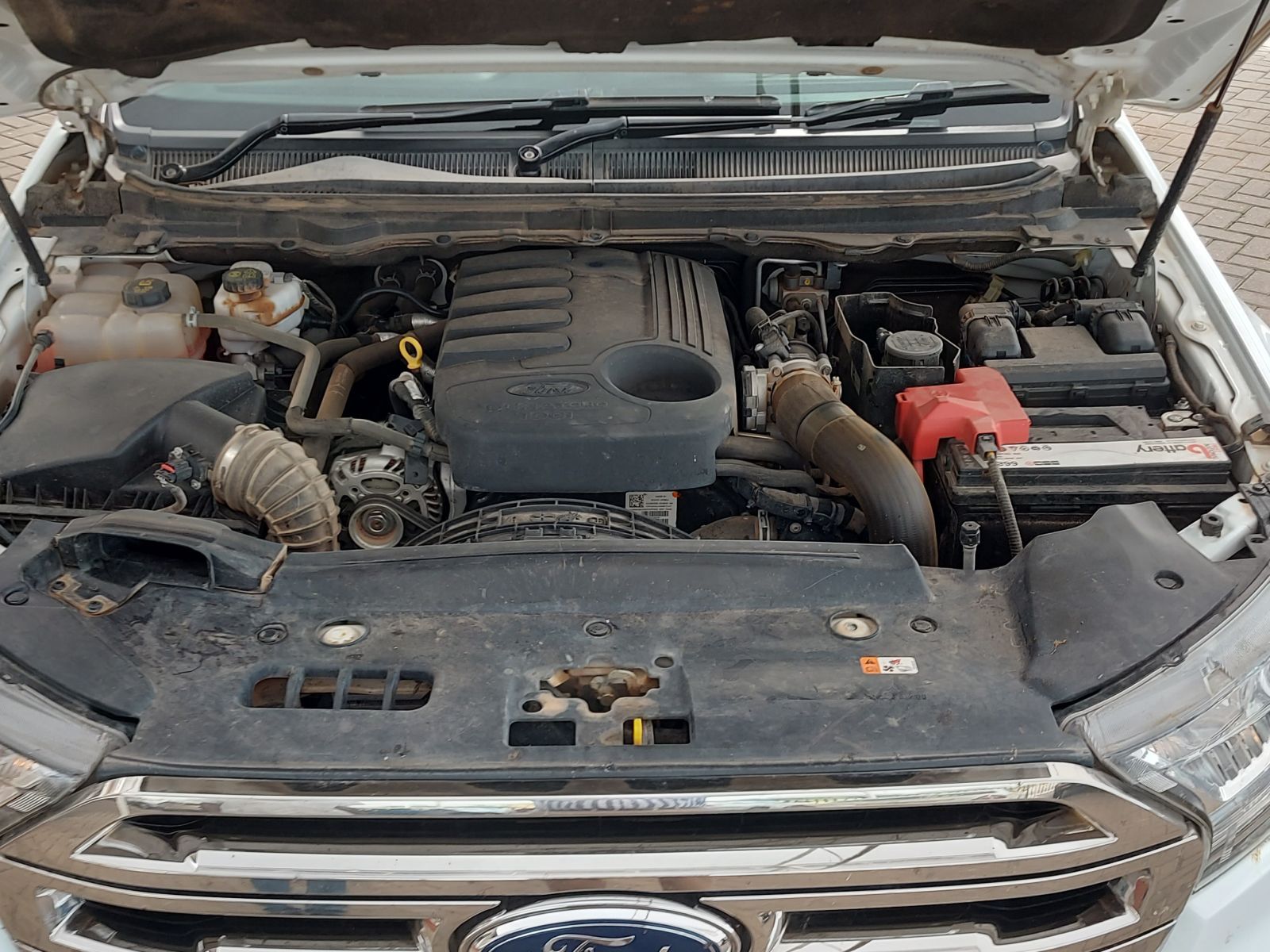 2019 Ford Everest photo 13